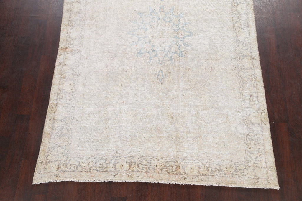 Muted Distressed Kerman Persian Area Rug 6x10