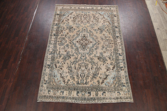 Floral Hamedan Persian Area Rug 7x10