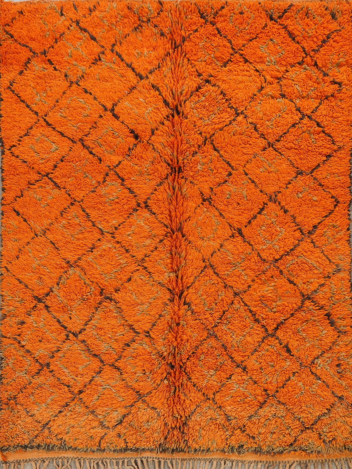 Trellis Moroccan Wool Area Rug 6x7