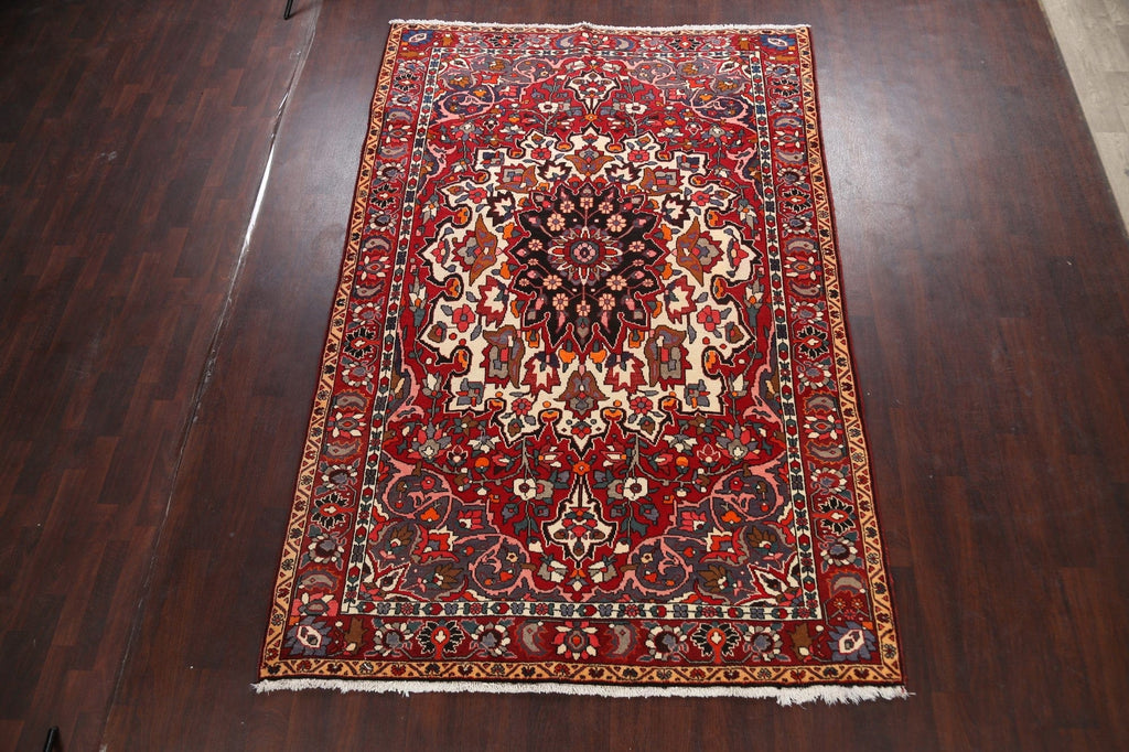 Floral Bakhtiari Persian Area Rug 7x10