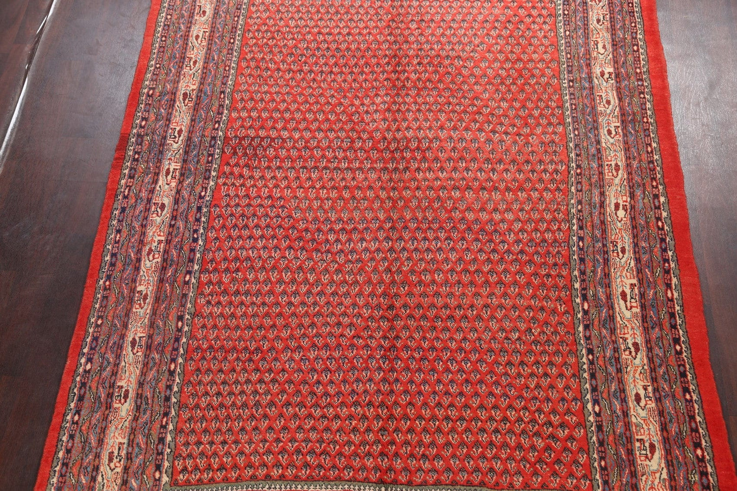 Boteh Botemir Persian Area Rug 7x10