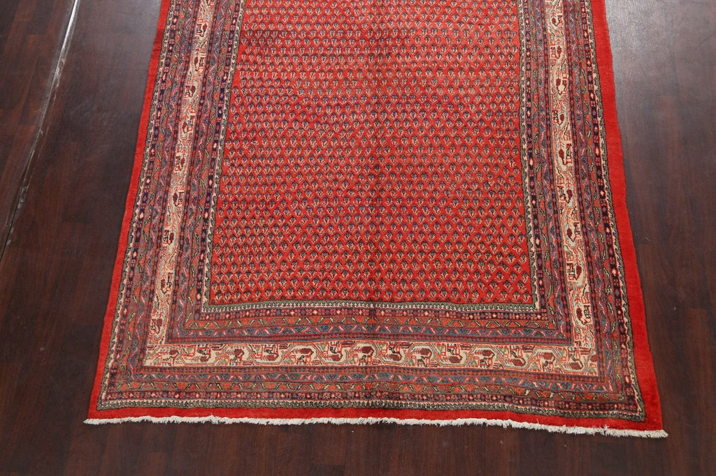 Boteh Botemir Persian Area Rug 7x10