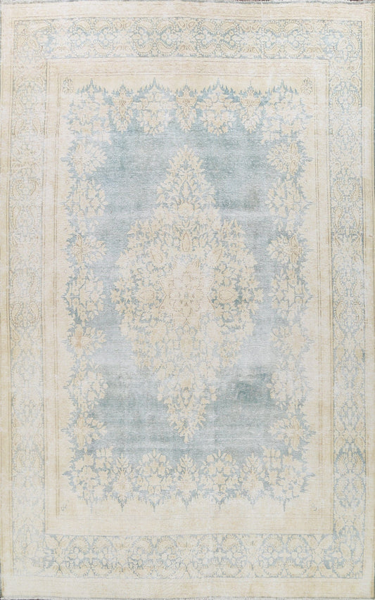 Muted Distressed Kerman Persian Area Rug 10x13