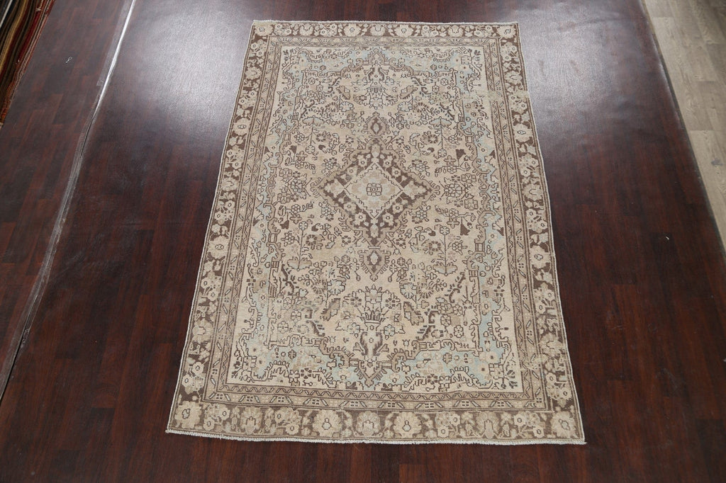 Muted Floral Hamedan Persian Area Rug 6x9