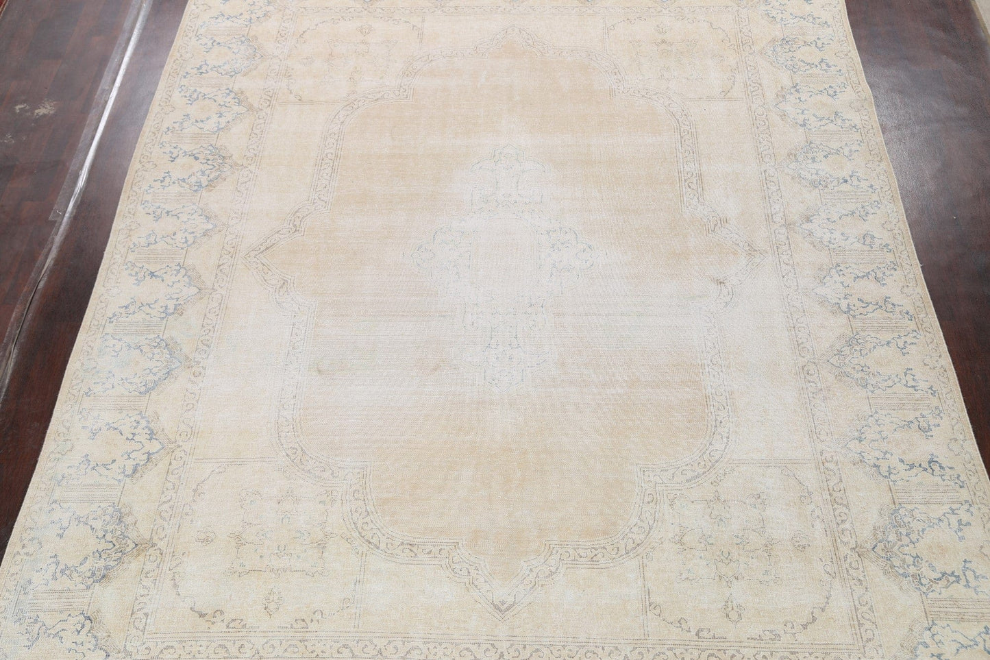 Muted Distressed Kerman Persian Area Rug 10x12