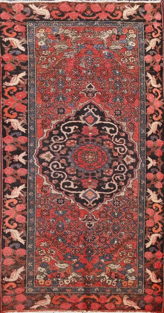 Floral Hamedan Persian Area Rug 4x6