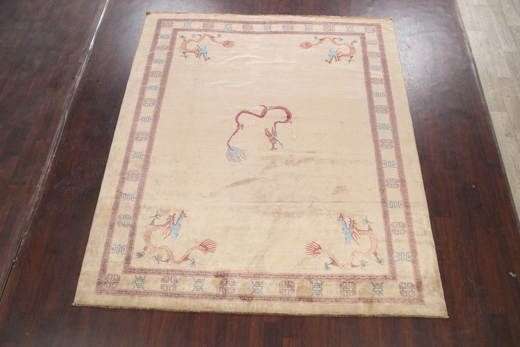 Animal Pictorial Gabbeh Kashkoli Oriental Area Rug 8x9