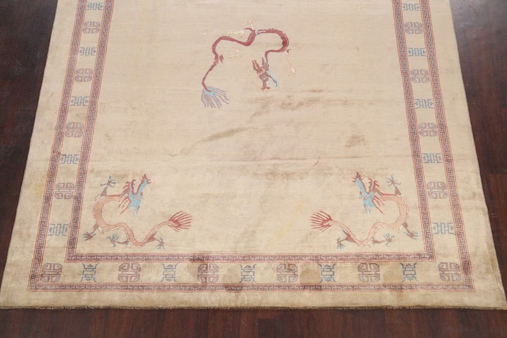 Animal Pictorial Gabbeh Kashkoli Oriental Area Rug 8x9