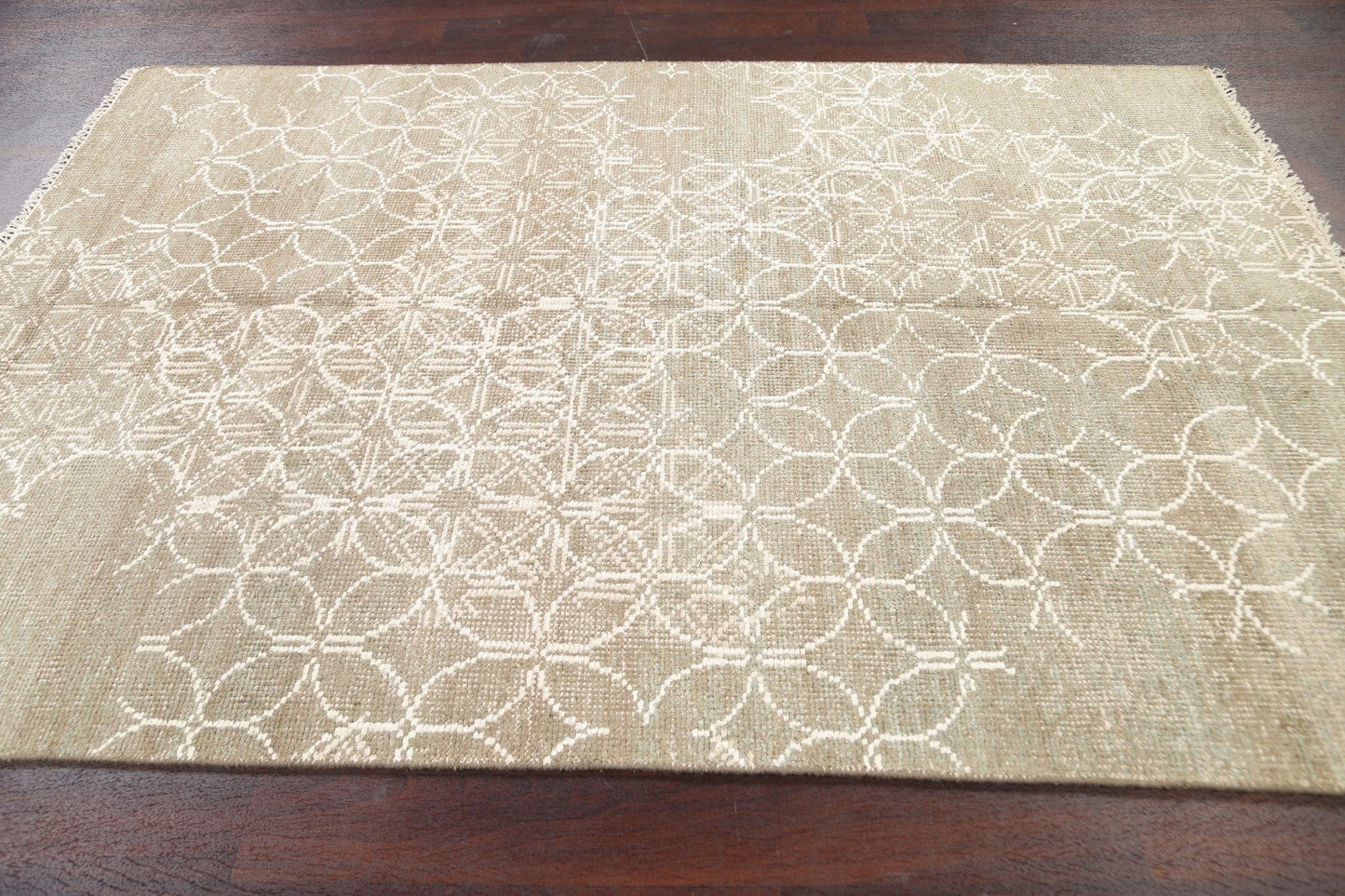 Distressed Modern Oriental Area Rug 5x8