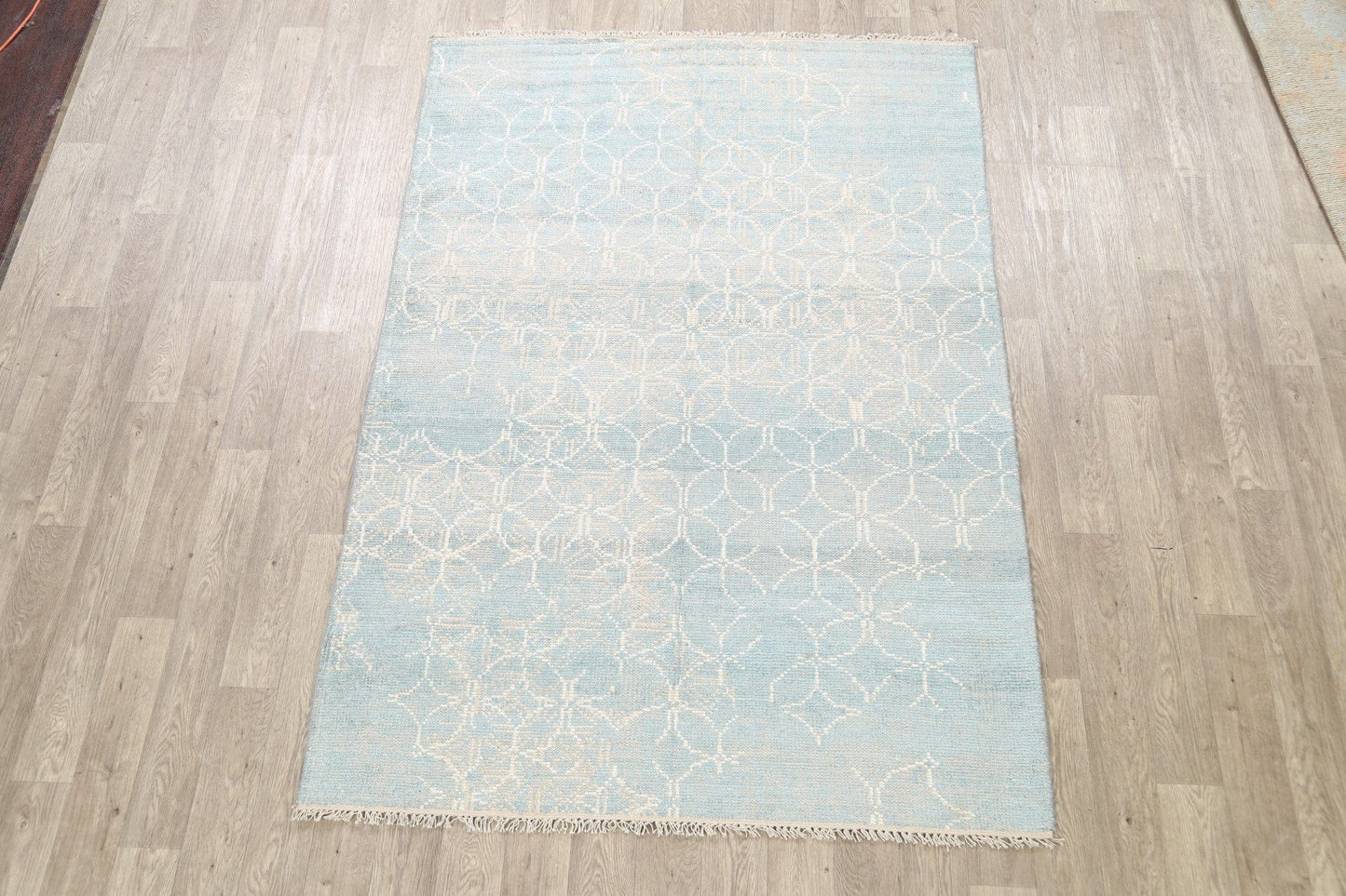 Muted Distressed Modern Oriental Area Rug 6x8