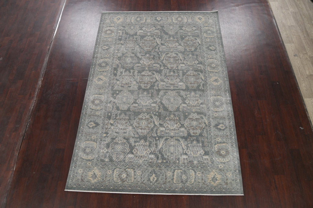 Silver Washed Ziegler Turkish Area Rug 7x10