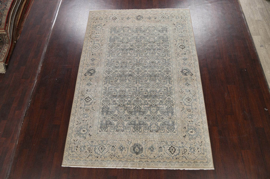 Silver Washed Ziegler Turkish Area Rug 7x10