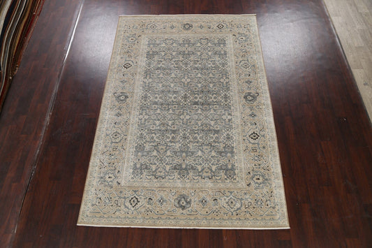 Silver Washed Ziegler Turkish Area Rug 7x10