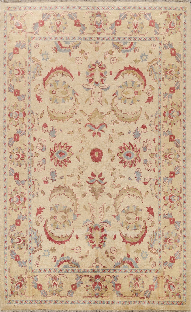 Vegetable Dye Floral Oushak Turkish Area Rug 6x9