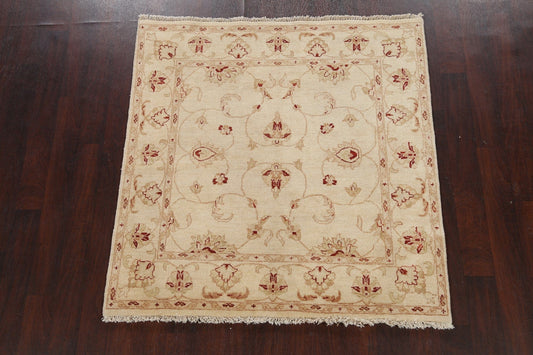 Vegetable Dye Square Oushak Chobi Oriental Area Rug 5x5