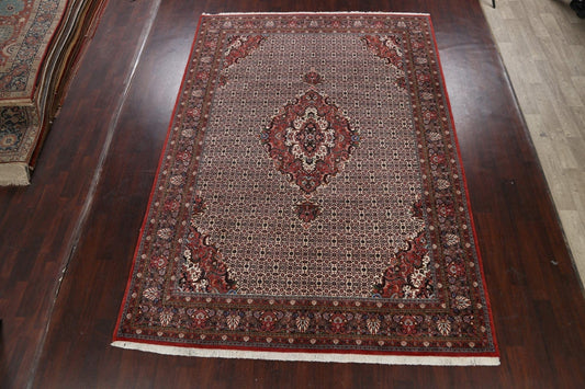 100% Vegetable Dye Bidjar Persian Area Rug 8x12