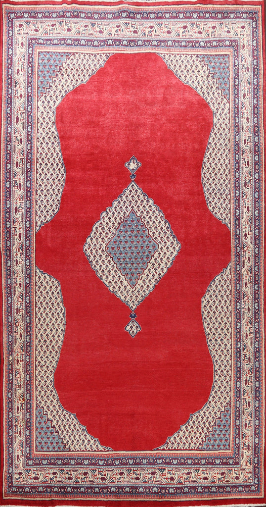 Boteh Botemir Persian Area Rug 9x13