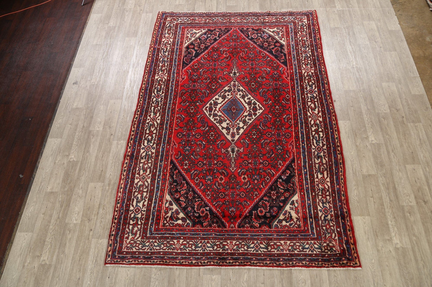 Geometric Hamedan Persian Area Rug 7x11