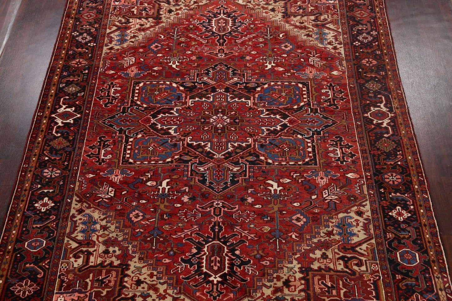 Geometric Heriz Serapi Persian Area Rug 9x11