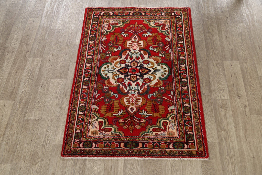 Geometric Lilian Persian Area Rug 4x5