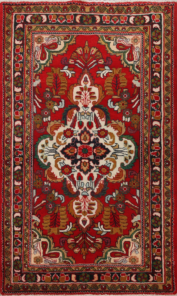 Geometric Lilian Persian Area Rug 4x5