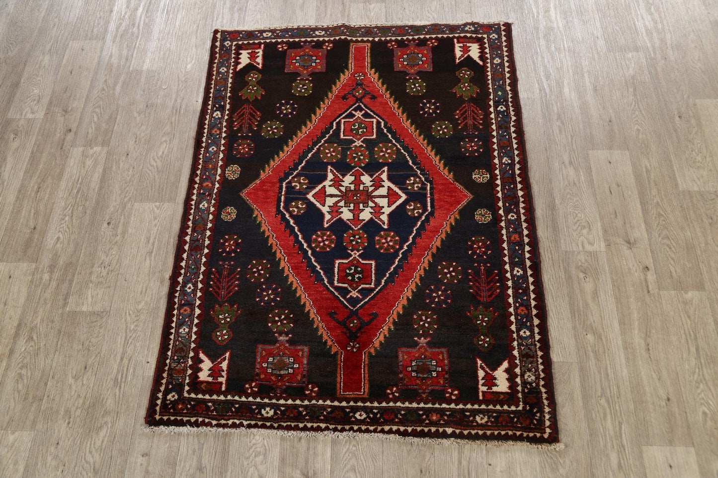 Geometric Hamedan Persian Area Rug 4x5