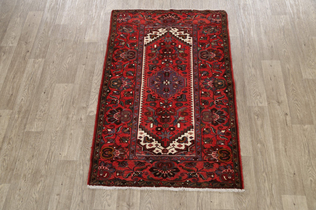 Geometric Hamedan Persian Area Rug 3x5