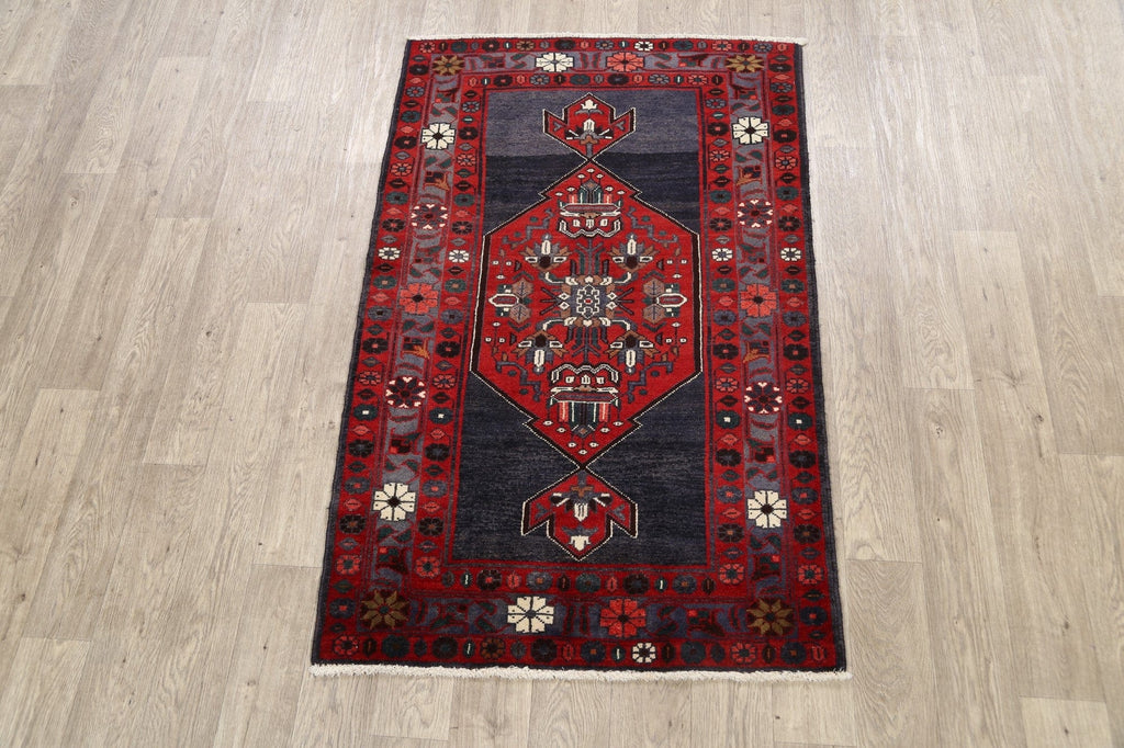 Geometric Hamedan Persian Area Rug 3x5