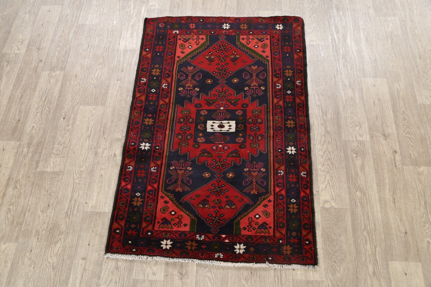 Geometric Hamedan Persian Area Rug 3x5