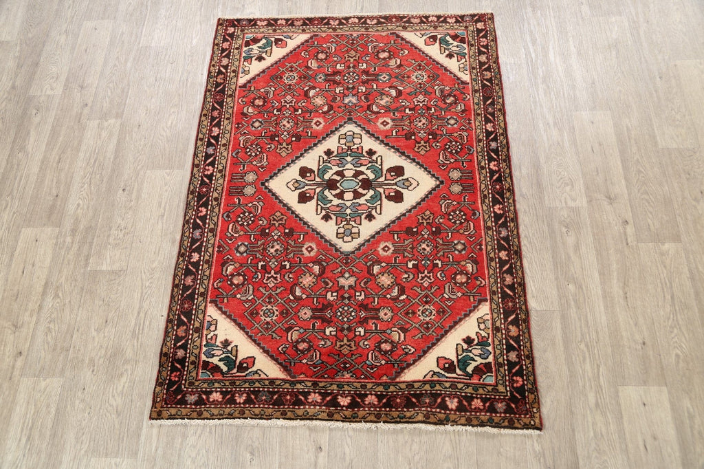 Geometric Hamedan Persian Area Rug 4x5