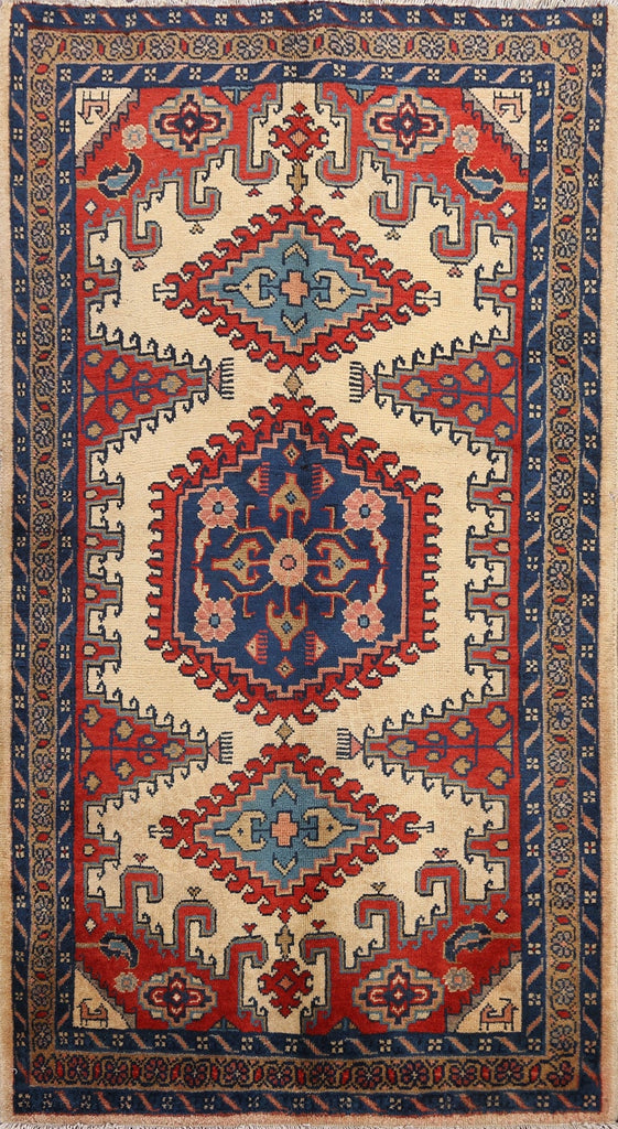 Geometric Viss Persian Area Rug 4x6