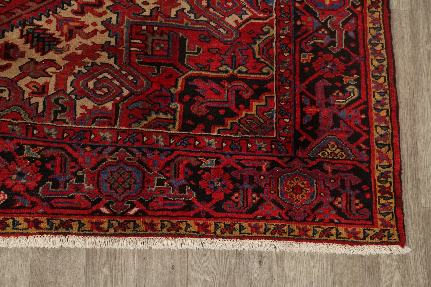 100% Vegetable Dye Heriz Persian Area Rug 9x12