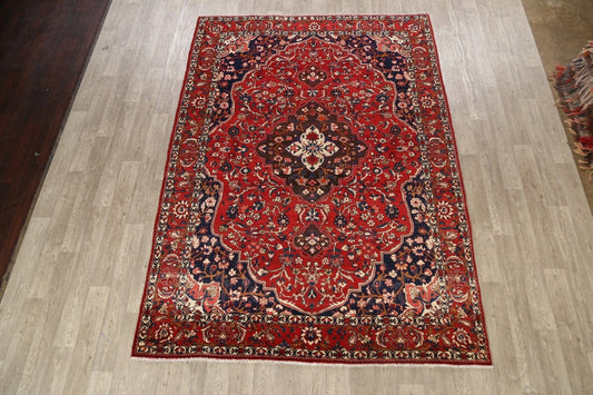 Floral Bakhtiari Persian Area Rug 7x10