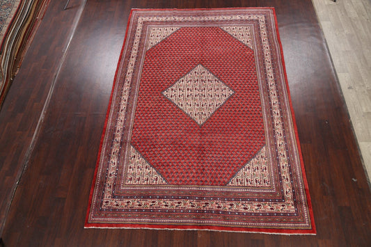 Boteh Botemir Persian Area Rug 7x11