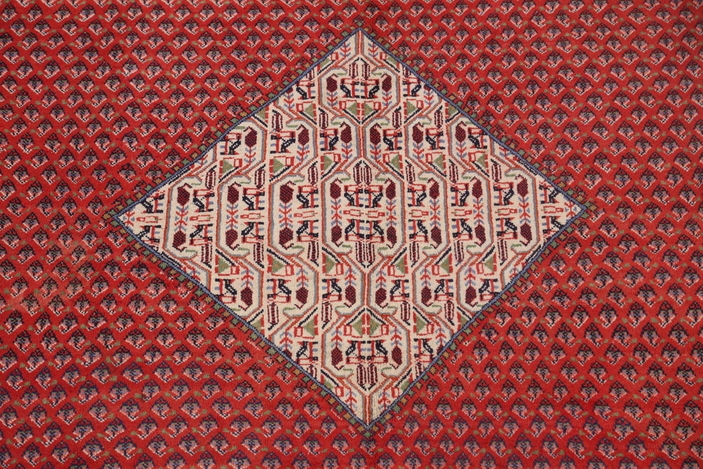 Boteh Botemir Persian Area Rug 7x11