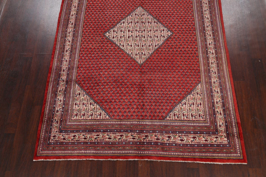 Boteh Botemir Persian Area Rug 7x11