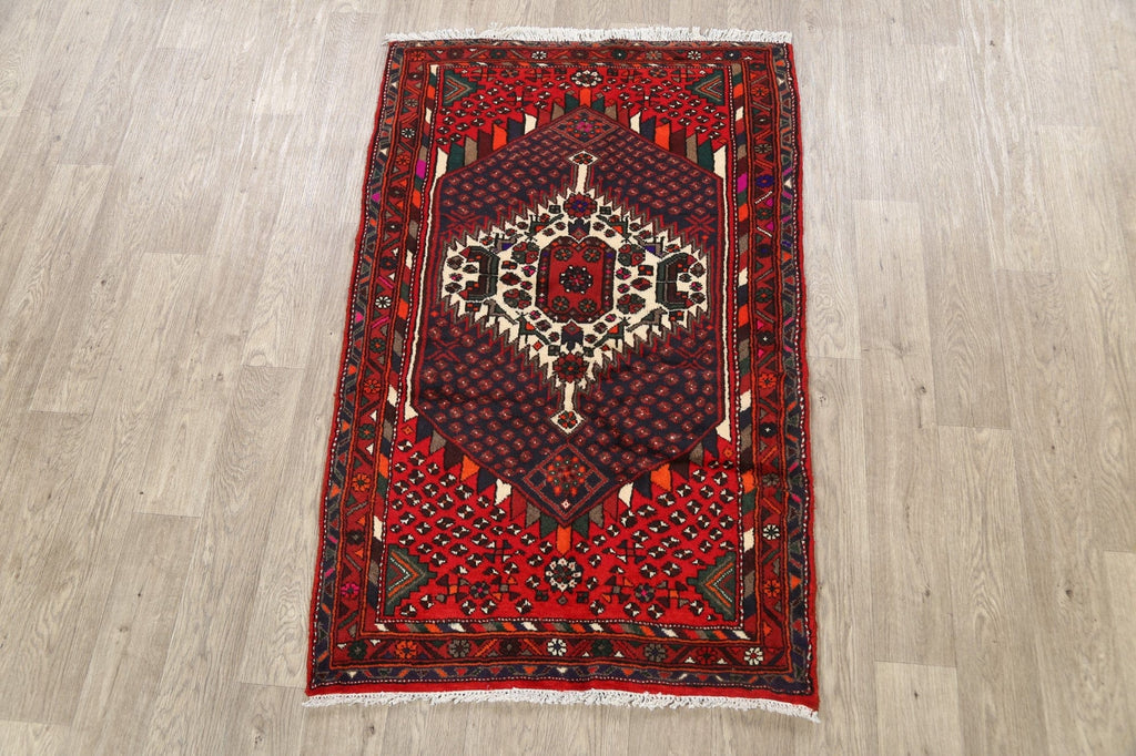 Geometric Hamedan Persian Area Rug 3x5