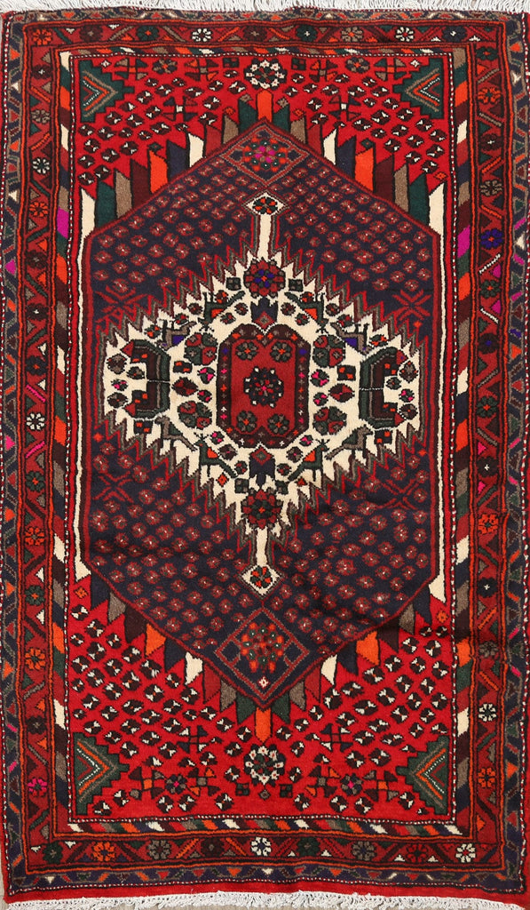 Geometric Hamedan Persian Area Rug 3x5