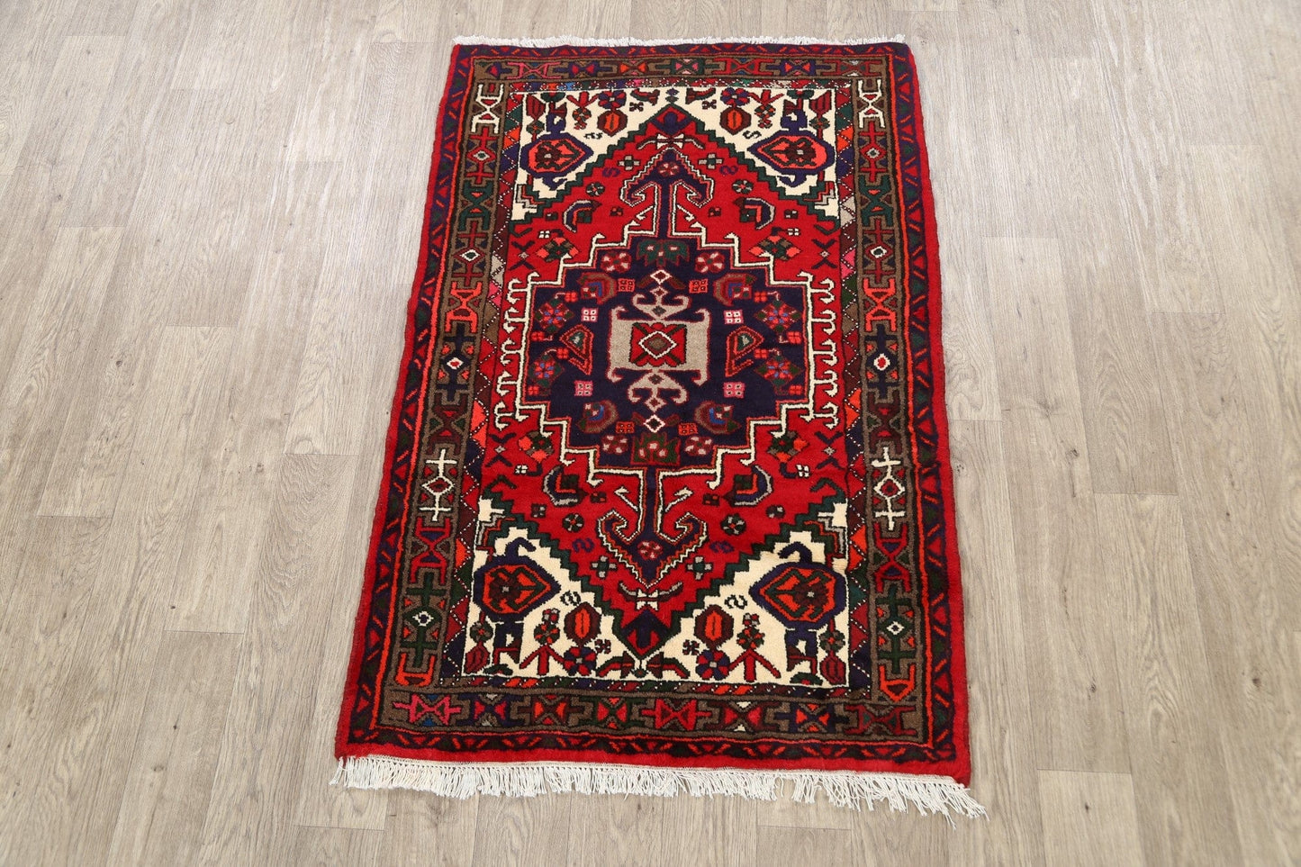 Geometric Hamedan Persian Area Rug 3x5