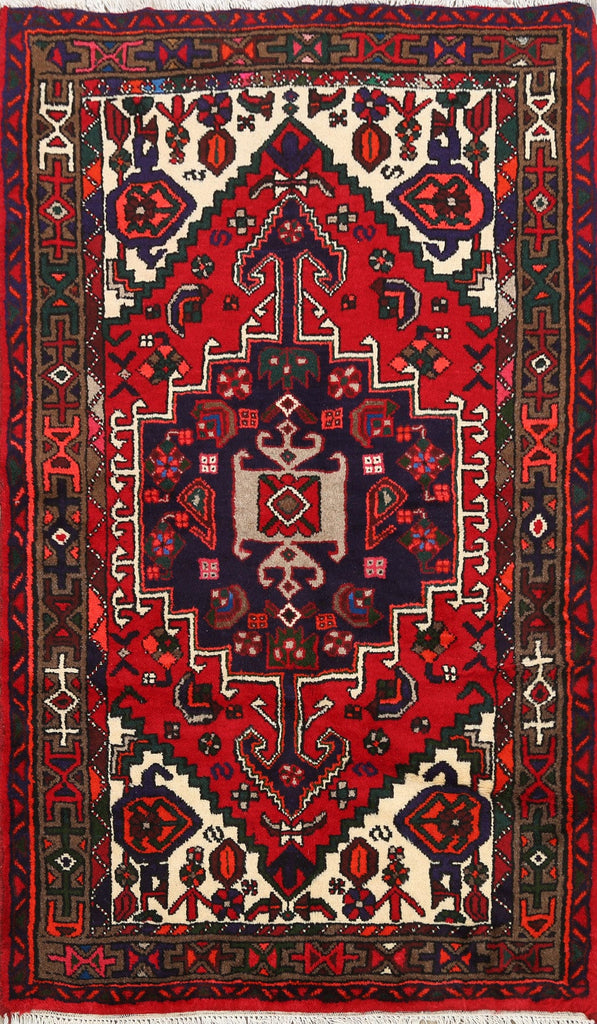 Geometric Hamedan Persian Area Rug 3x5