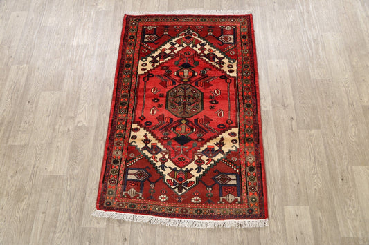 Geometric Hamedan Persian Area Rug 3x5