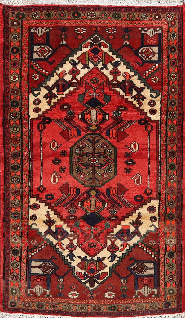 Geometric Hamedan Persian Area Rug 3x5