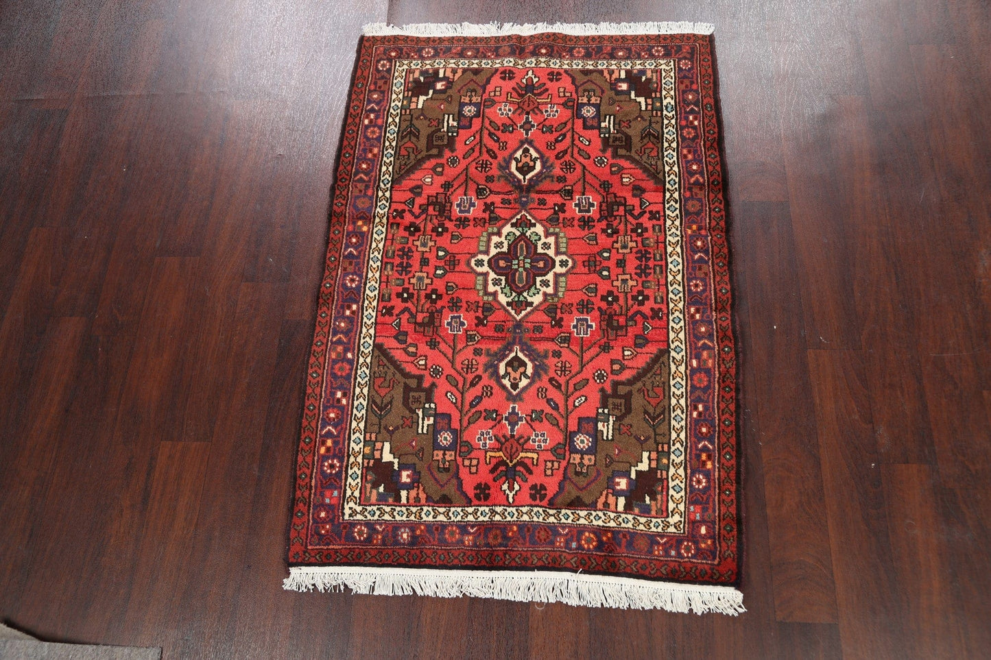 Geometric Hamedan Persian Area Rug 3x5