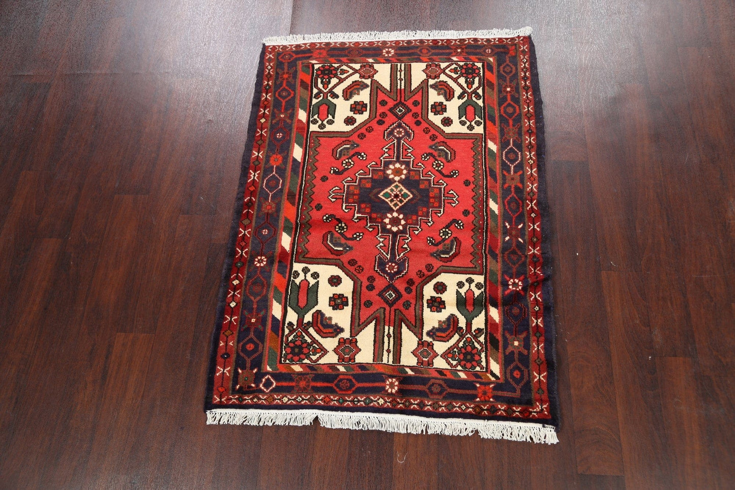 Geometric Hamedan Persian Area Rug 3x5