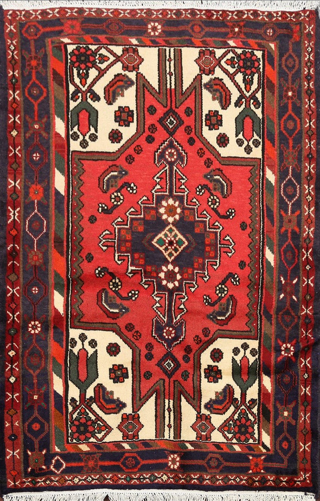 Geometric Hamedan Persian Area Rug 3x5