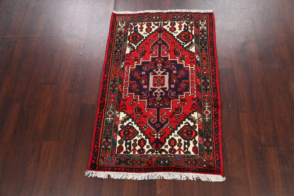 Geometric Hamedan Persian Area Rug 3x5