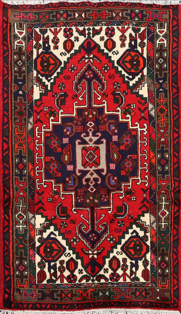 Geometric Hamedan Persian Area Rug 3x5