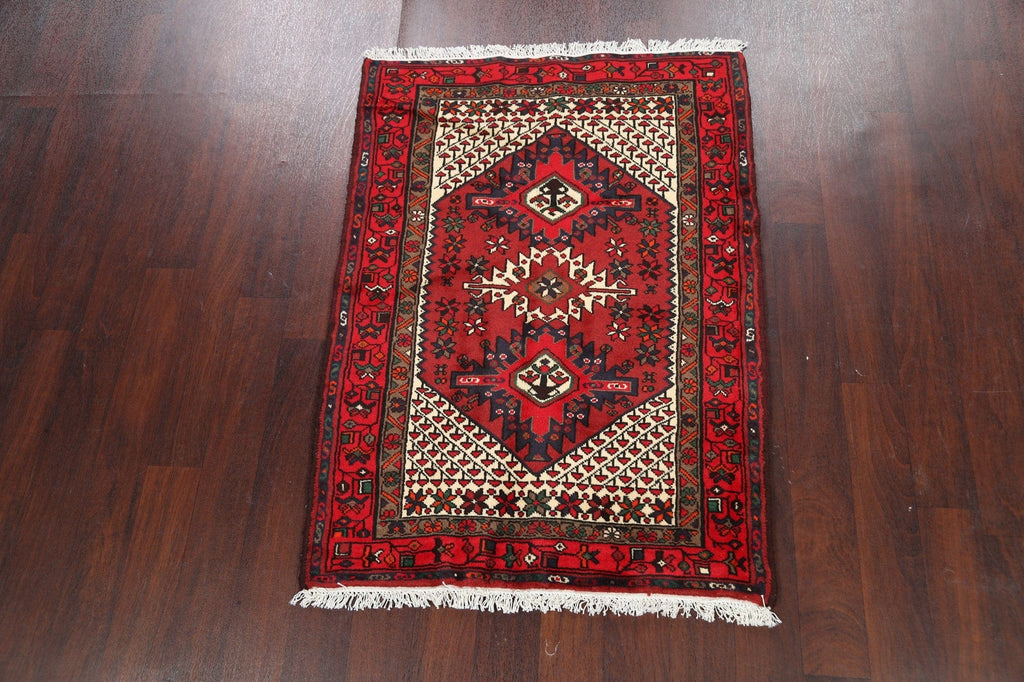 Geometric Hamedan Persian Area Rug 3x5