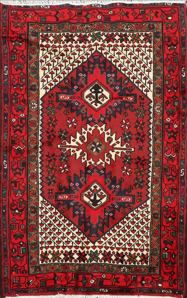 Geometric Hamedan Persian Area Rug 3x5