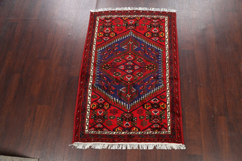 Geometric Hamedan Persian Area Rug 3x5